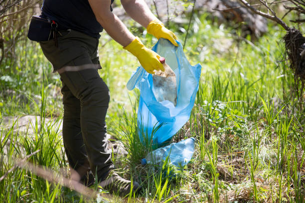 istock Volunteer collecting garbage in the woods. 1323447504