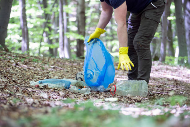 istock Volunteer collecting garbage in the woods. 1323447702