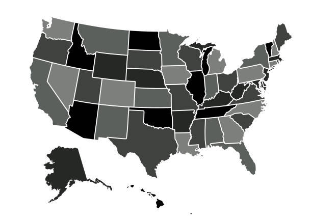 미국 지도 벡터 일러스트레이션 - wyoming state stock illustrations