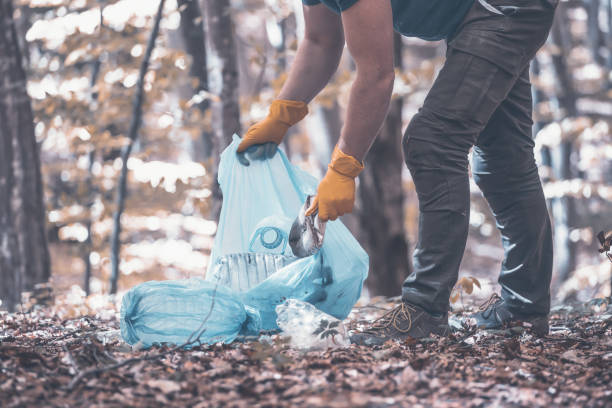 istock Volunteer collecting garbage in the woods. 1323447750