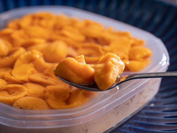 istock Saltwater Sea Urchin in a plastic container. 1323448475