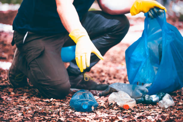 istock Volunteer collecting garbage in the woods. 1323448549