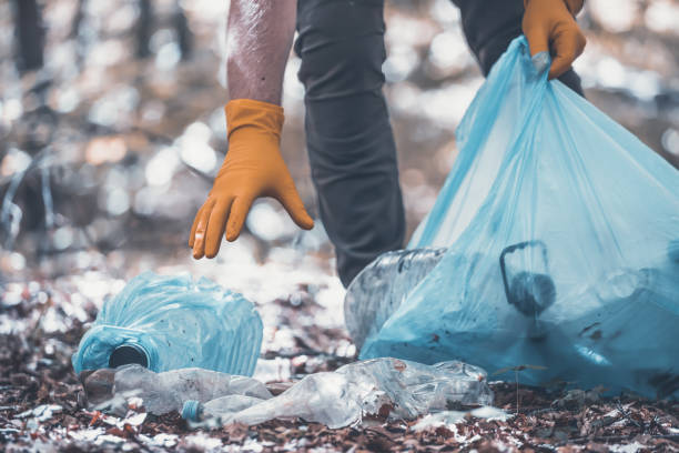istock Volunteer collecting garbage in the woods. 1323449643
