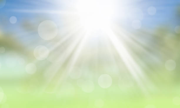 istock Sunny abstract green and blue nature bokeh background. 1323451269