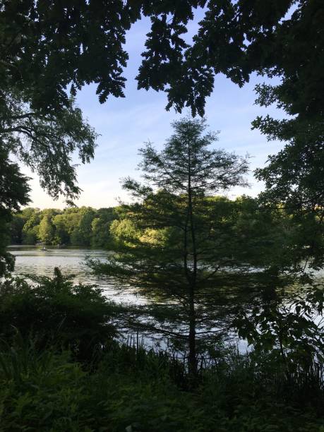 istock Summer in Central Park in Manhattan, New York, NY. 1323453310