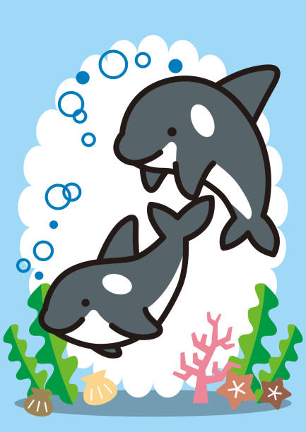 istock Brother and sister of a good friend orca 1323453725