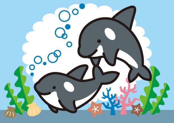 istock Brother and sister of a good friend orca 1323453739