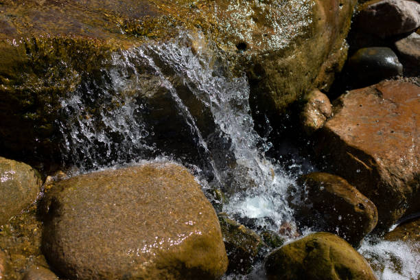 River in deep forest, river in evergreen forest in Thailand