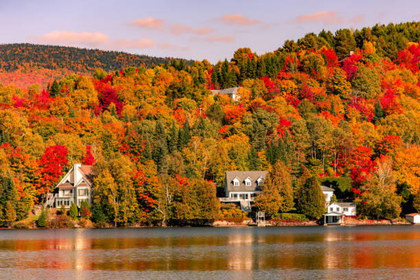 lac-superieur, mont-tremblant, quebec, canadá - indiana summer lake tree fotografías e imágenes de stock