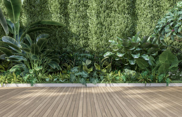 terraza de madera vacía con pared verde 3d render - árbol tropical fotografías e imágenes de stock