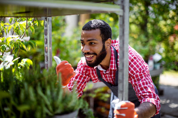 istock Garden center employee at work 1323462110