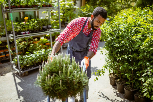istock Garden center employee at work 1323462306