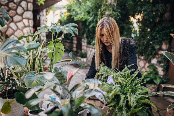 istock Woman taking care of her plants 1323466449