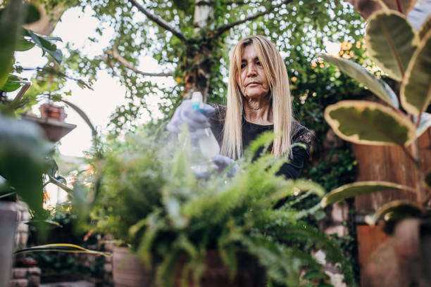 istock Woman watering her plants 1323466491