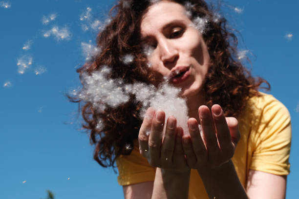 Girl blows poplar fluff off her hands
