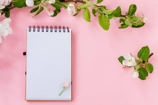 istock Creative flat lay of blank spiral notepad frame mock up and apple tree flowers petals on pastel pink background with copy space in minimal style, template for lettering, text or your design 1323467463