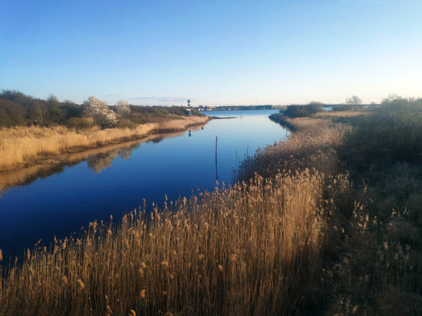 a stream empties into the fjord early spring