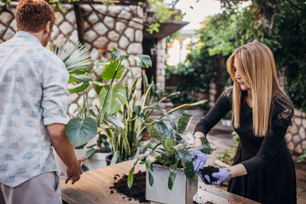 istock Mom and son taking planting plants together 1323470486