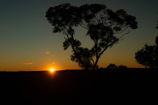 Sunset at Berowra Valley National Park, NSW, Australia.
