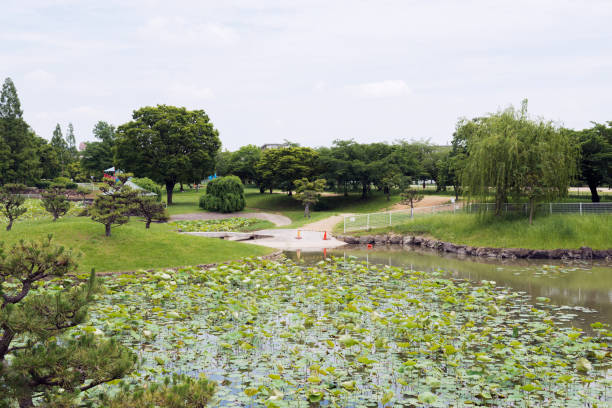 istock Iris garden in Shirasagi Park 1323473097
