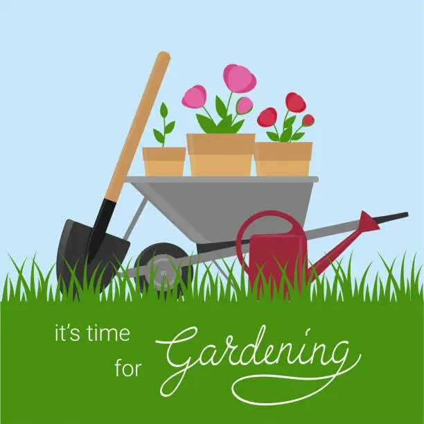 Vector illustration of It's time for gardening. Template for banner, poster, flyer, card. Wheelbarrow, water can, spade and pots with flowers. Hand drawn lettering
