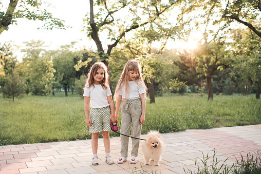 Two cute sister kid girls walk in park with domestic pet dog spitz standing on road over nature background. Childhood. Friendship.