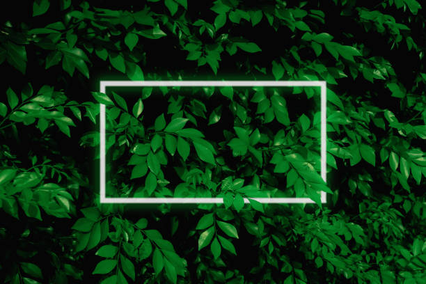 istock Illustration of a large dark green leaf with soft neon light, a rectangular green water led frame light For natural backgrounds 1323474909