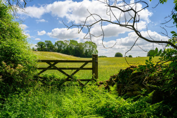 istock Cotswold Countryside view through a gate 1323477058
