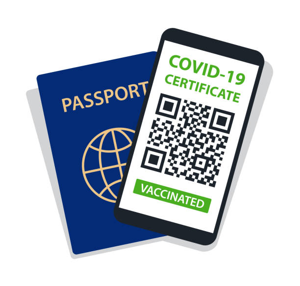 illustrations, cliparts, dessins animés et icônes de certificat covid-19 en smartphone et passeport papier sur fond blanc. vaccinés. code qr. document de vaccination contre le système immunitaire. vecteur - bar code biometrics people one person