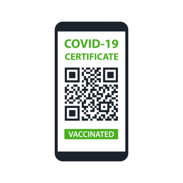 illustrations, cliparts, dessins animés et icônes de certificat covid-19 en smartphone sur fond blanc. vaccinés. code qr. document de vaccination contre le système immunitaire. vecteur - bar code biometrics people one person