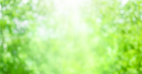 Green blurred natural background. Abstract summer background with bokeh light.