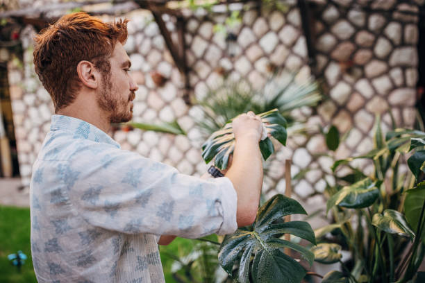 istock Man taking care of plants 1323478410
