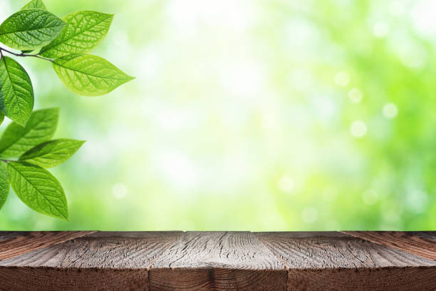 Green summer background with empty space for product display