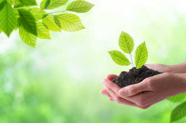 istock Ecology, protection of natural environment, environmental conservation concept. 1323478600