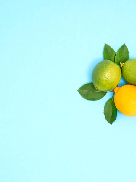 istock Fresh limes and lemons on blue background. 1323478771