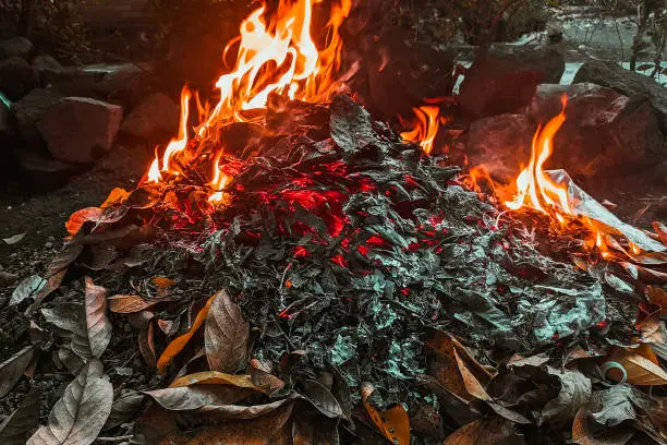 Photo of Garbage pile of dry leaves on fire