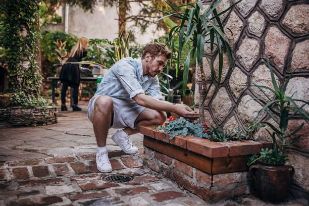 istock Mom and son planting plants together 1323483746