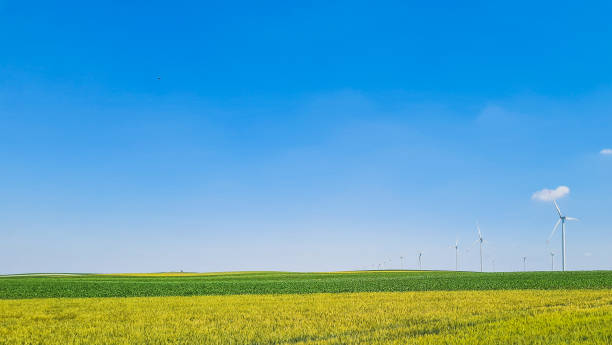 istock Wiew of green and yellow field. 1323483765