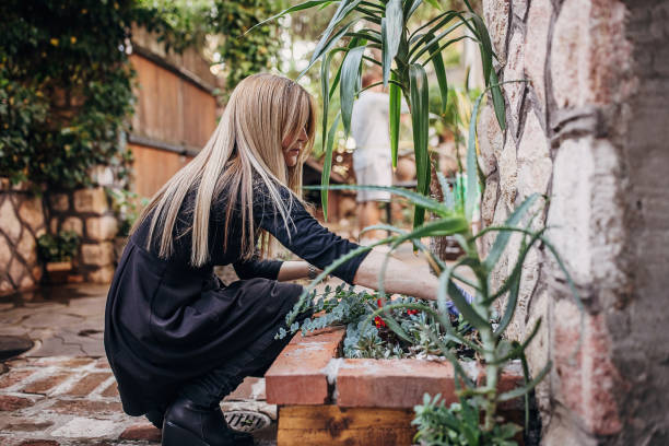 istock Woman planting plants 1323483811