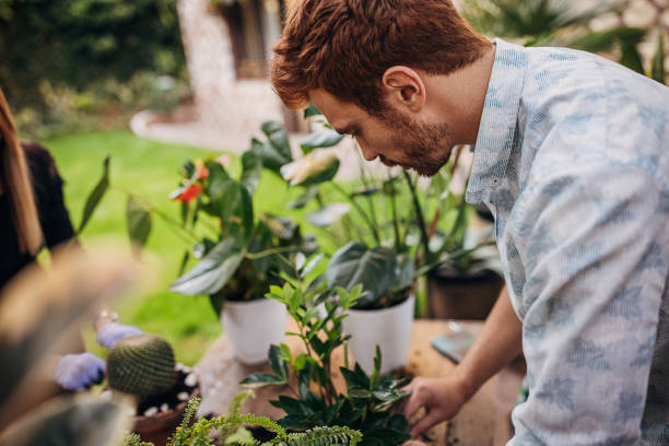 istock Son and mother planting plants together 1323485715