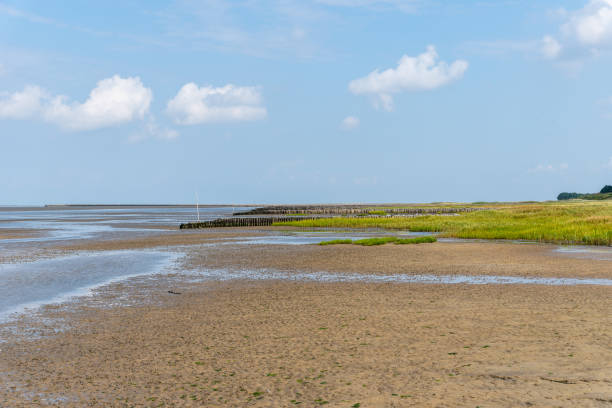istock The Beach of Cuxhaven on low tide 1323486953