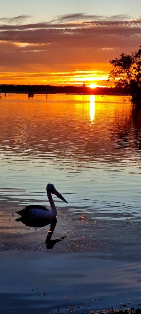 istock Sunsets by the lake 1323487691