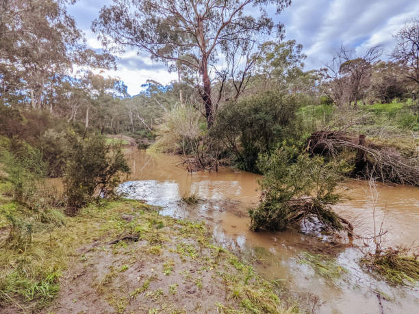 istock Plenty Gorge Parklands in Australia 1323487795
