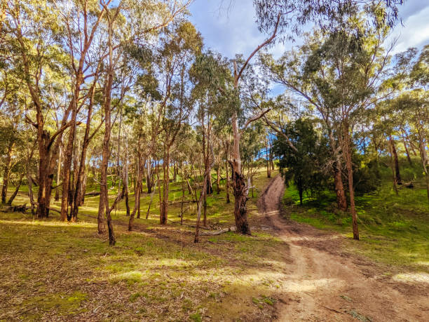 istock Plenty Gorge Parklands in Australia 1323487798