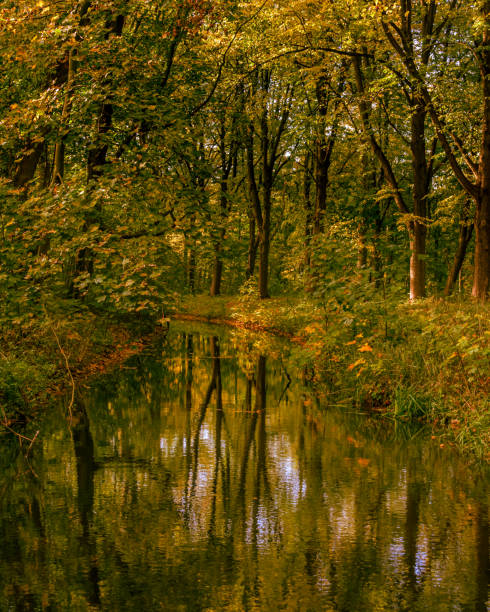 istock autumn in the park with reflection 1323489845