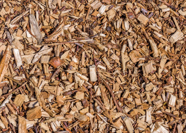 istock wooden chips mulch. Background concept 1323489850