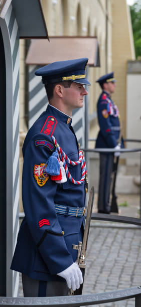 strażnicy północnej strony zamku praskiego - hradcany castle prague czech republic spring zdjęcia i obrazy z banku zdjęć