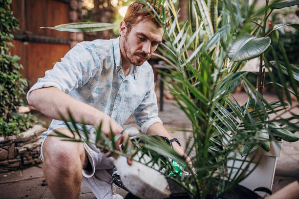 istock Man planting plants 1323494860