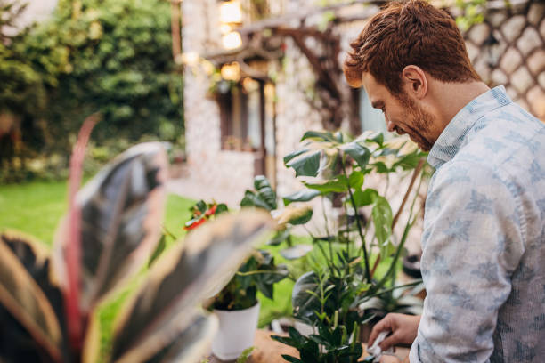 istock Man taking care of plants 1323495138