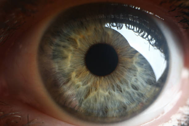 istock Wide open eye of grey blue colour 1323496527